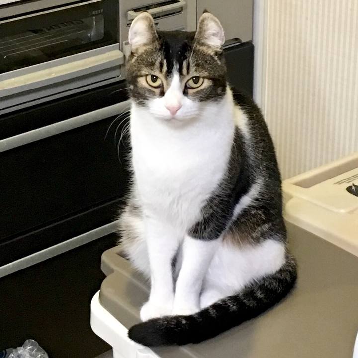 E1825e9e 2250 4825 8b10 1373fdf046f0 1515682306629