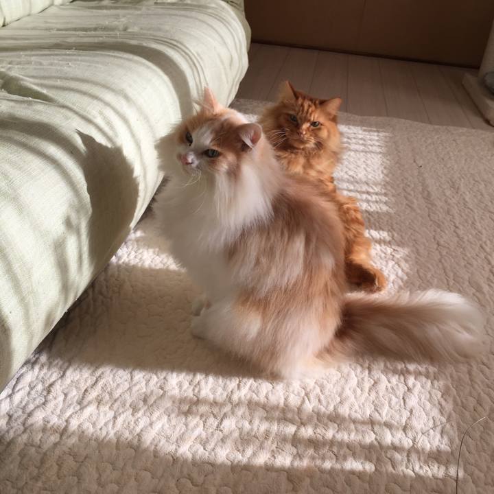 E182ad21 da47 4b57 a9b3 b419e4507365 1511731953809