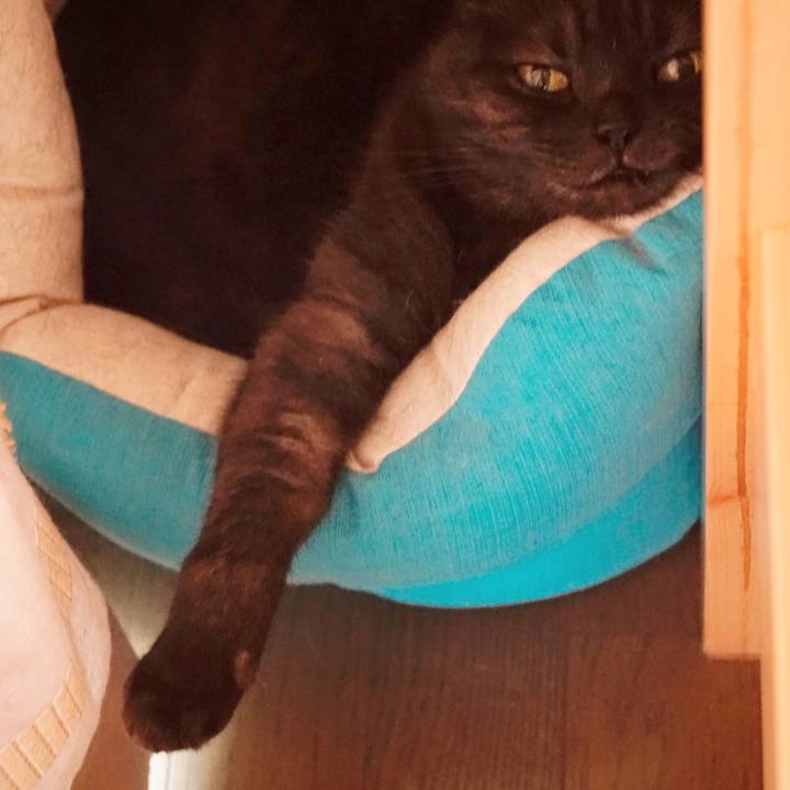 E182b2da a2d0 492e a6e2 025db126c57b 1564999483507