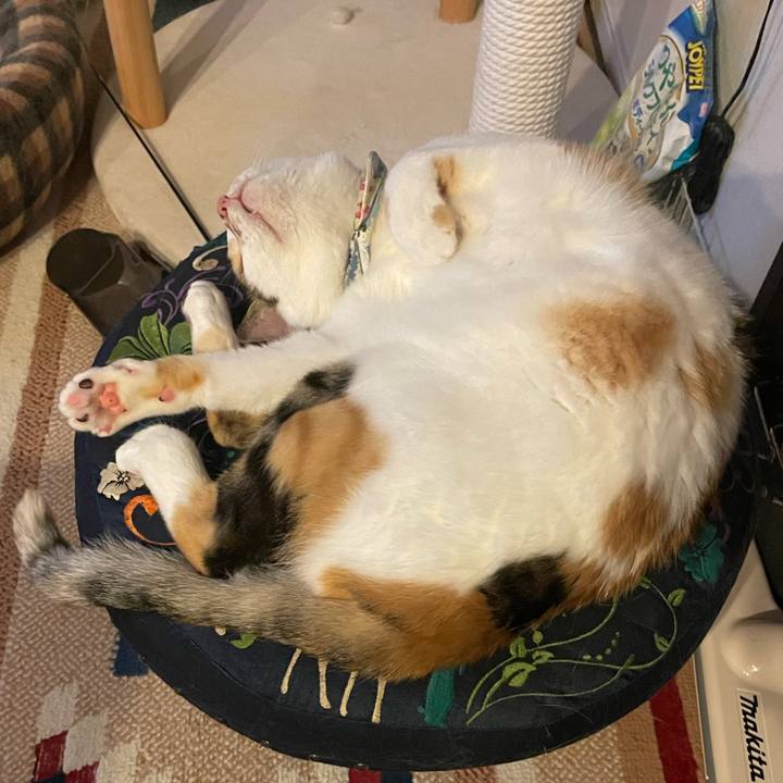 E182de88 df5a 45cd ab56 a1133223f92f 1722006838979