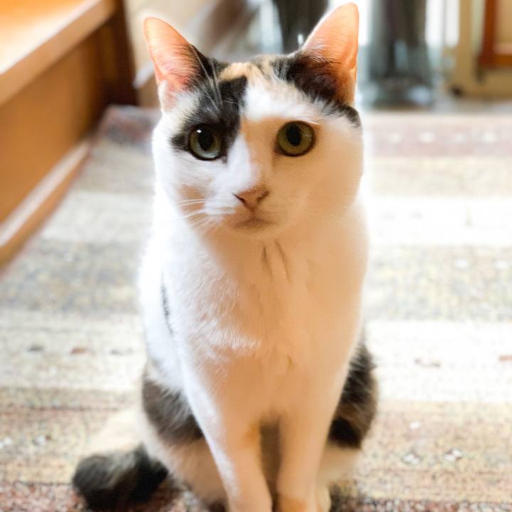 E182fc28 9eb1 4cb3 972f a6f48f0247e5 1566092858513