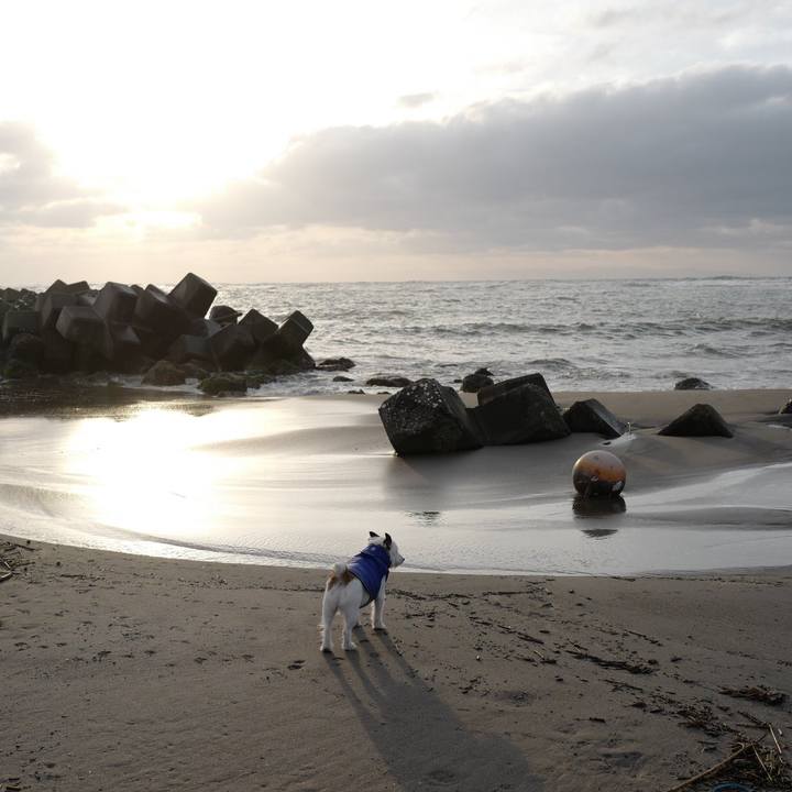 E18363f3 5c0a 4662 8f86 a5ab37ef8d10 1521262541676