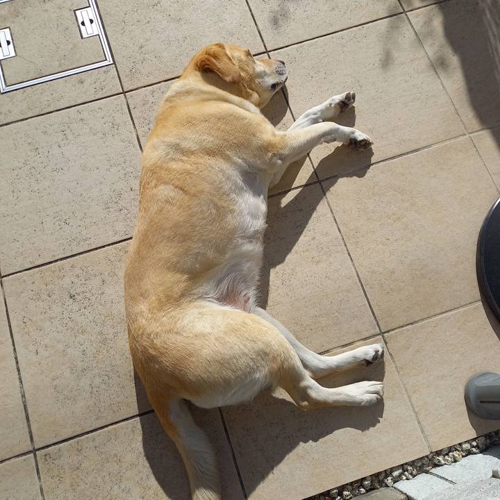 E18381a1 2e6e 4090 9d88 1151d2013668 1606362571704