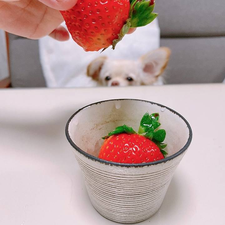 E1838a02 be31 4eab b0b1 97b4f5c5fe2d 1611959802890