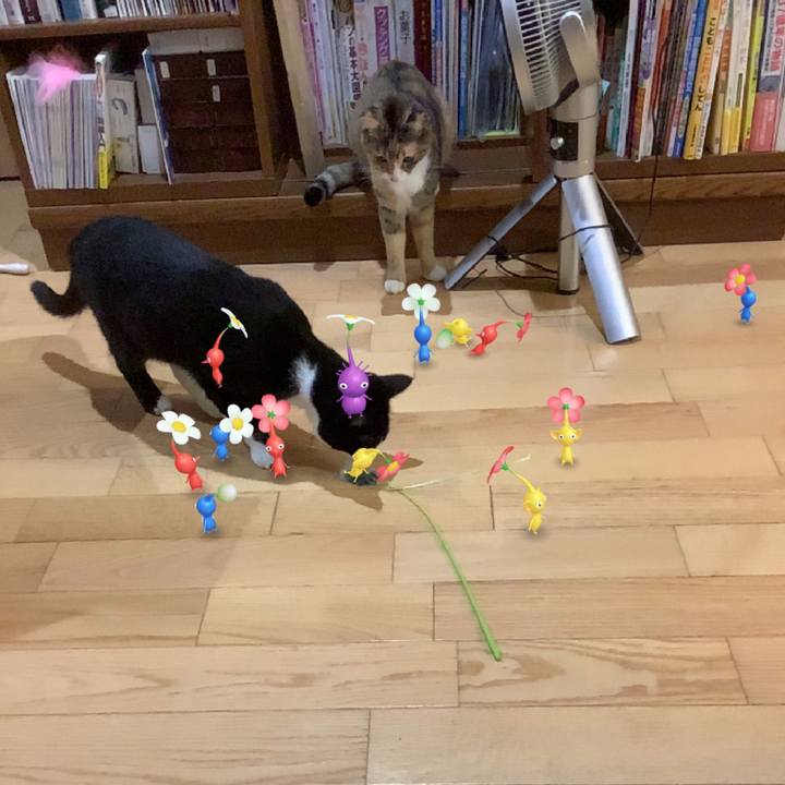 E18392c3 9341 46a2 945d 24bd218d45eb 1636632190535