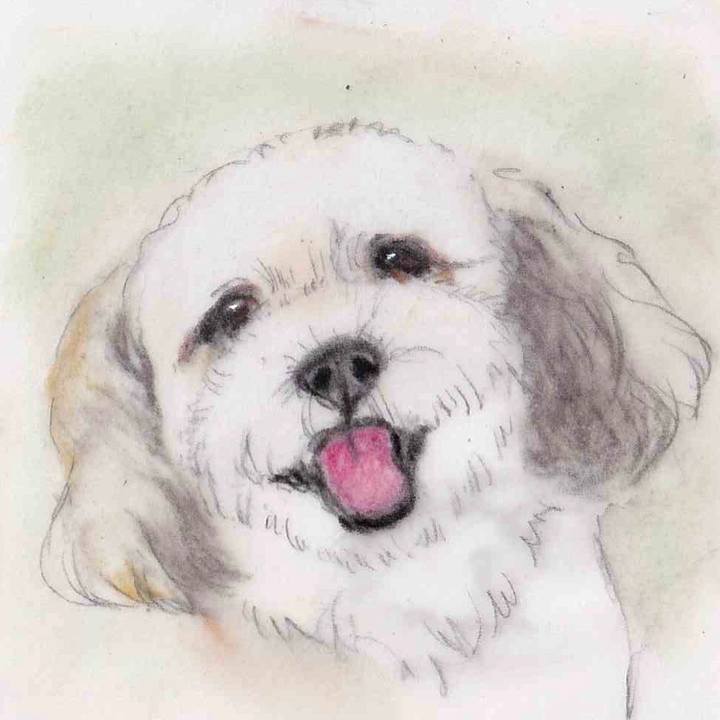 E183aa21 c7d6 4c85 9d94 df615dcda080 1659706646934