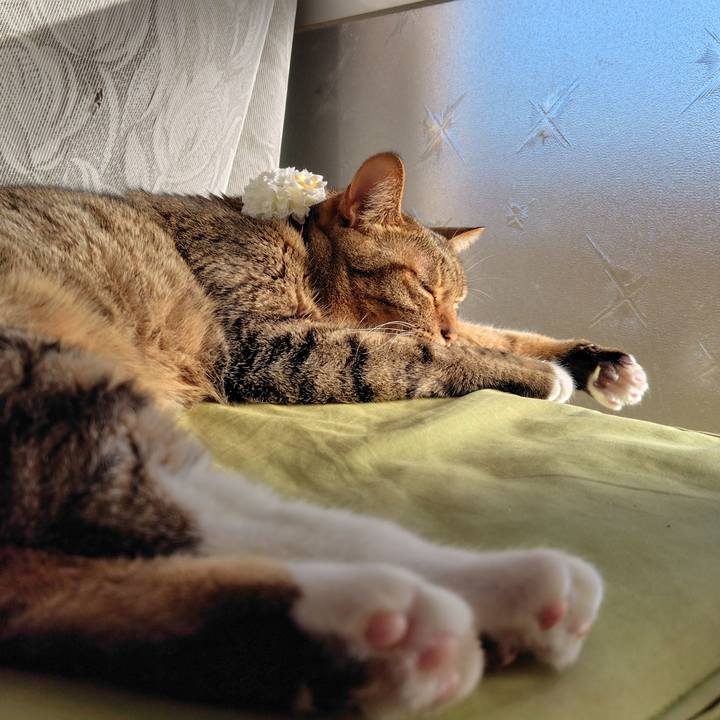 E183bb2e 83f0 4d67 b036 48872610ee5e 1764383554497