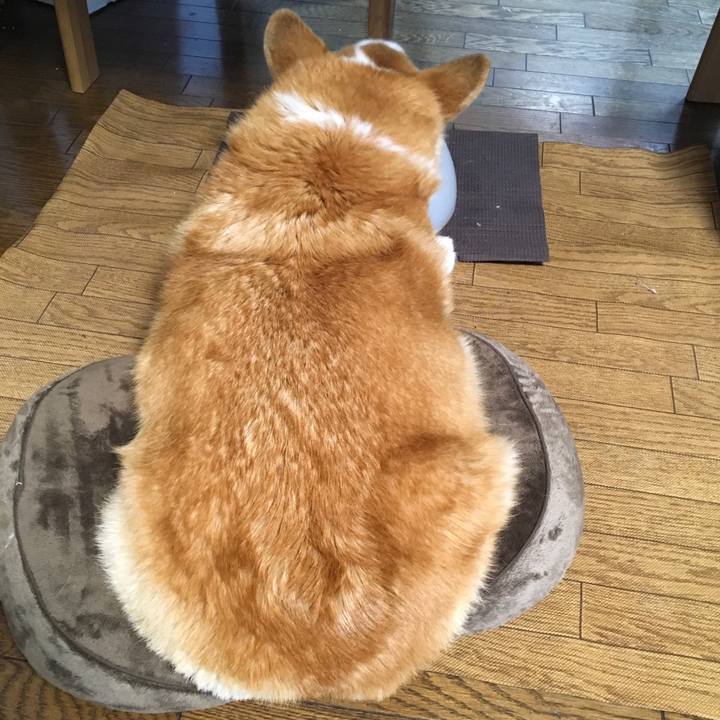 E183c0ad abd5 4068 a9d7 9b7d6d833795 1552526570844