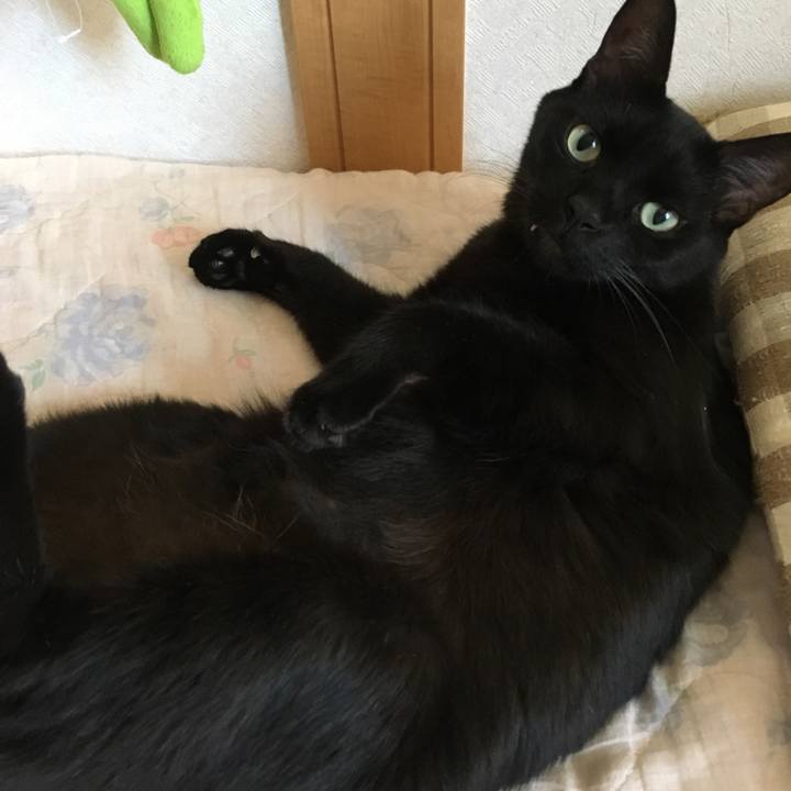 E183c4d4 98a4 4d32 8d7a 74f7b0b5dc47 1533279748350