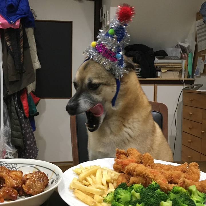 E183f4ec 0738 4be0 8c21 d02bbecd9efa 1514632708755