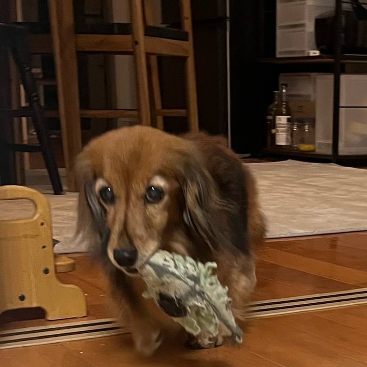 E1840eff 8f41 4e2e 90ea e9fb76a3bdb5 1771154599224