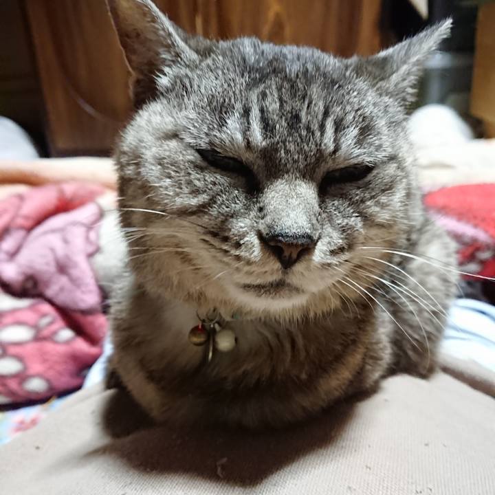 E18428ce f334 456f 8941 a0487fc269bc 1568897495692