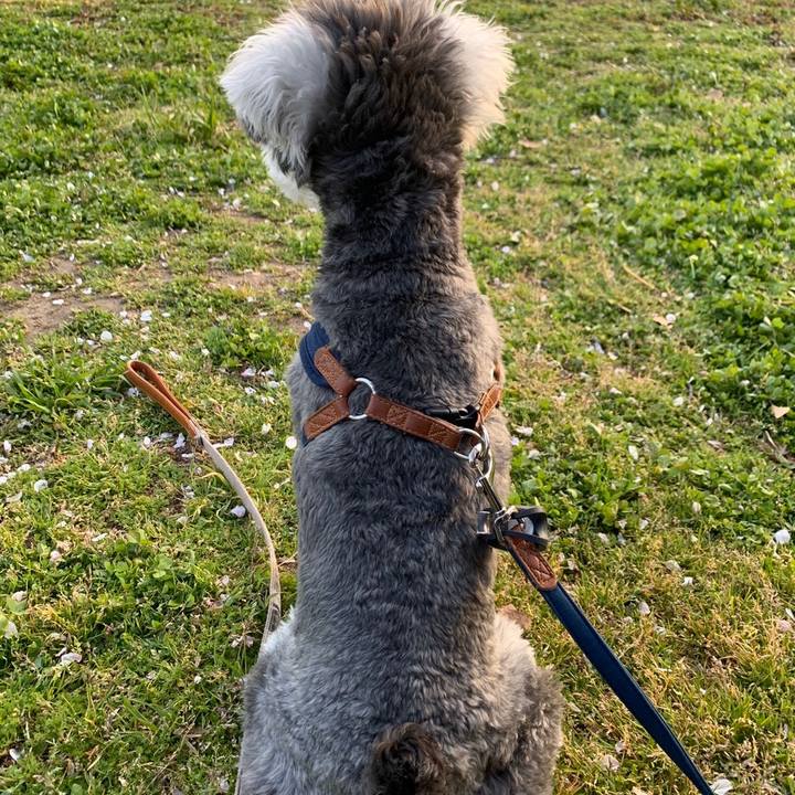 E18439e1 da33 4c11 895c 5d4f2d8820a7 1586582946410