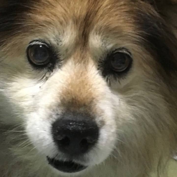 E1845202 b0e9 449d 8a9a 3b99865d8cb7 1607905969697