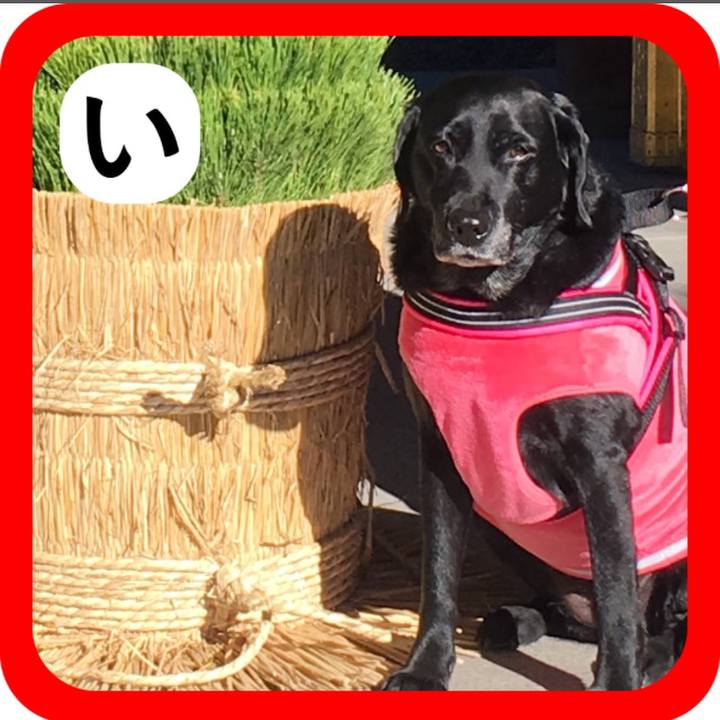 E1849249 ce9d 45a8 835e ded0ce09ec8e 1515064590347