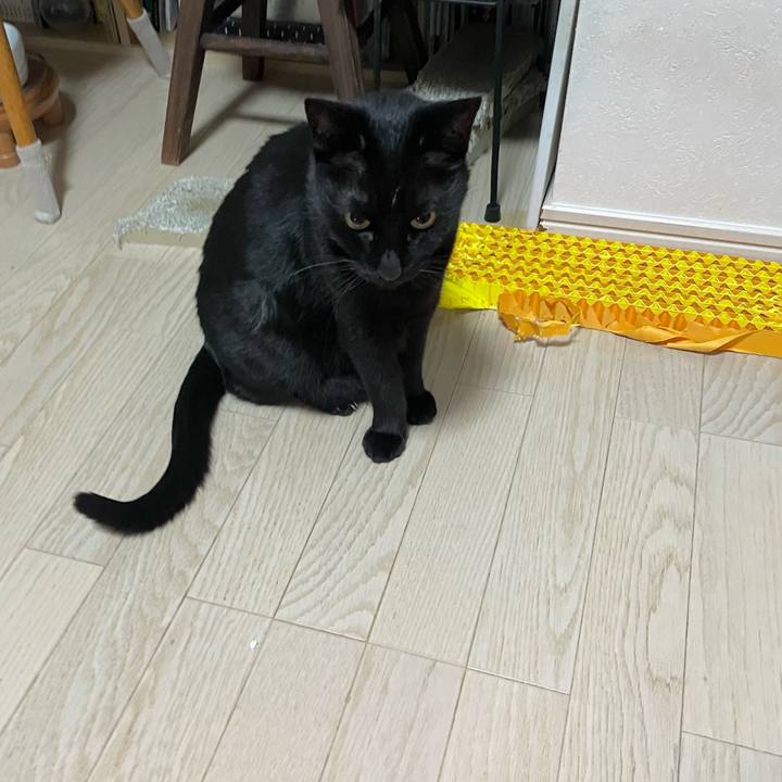 E18494b6 1dc5 4333 93ea a6eef4acb007 1739797161115