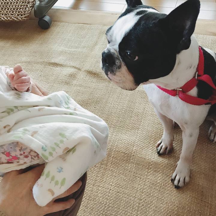 E1849753 9dea 4796 82a6 408bae5844a6 1518142713025