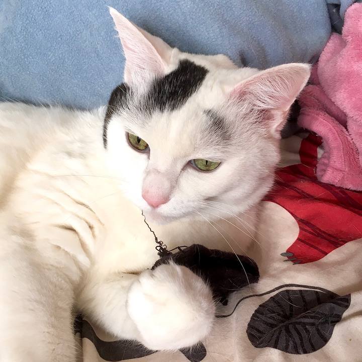 E1849c4d 337a 48a4 b2dd 6c824d1e624d 1580369429874