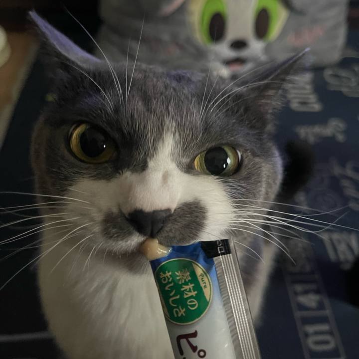 E184a72c 525e 4501 9aa7 616899e88140 1728026708436