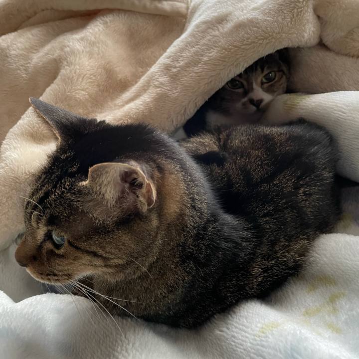 E184eb1b 66de 4577 876c c8afec30ad79 1608082881454