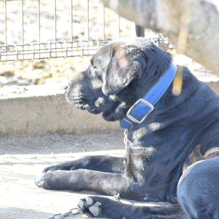 E18519c2 7f68 4ed2 8533 700b4bccd83d 1517465798959