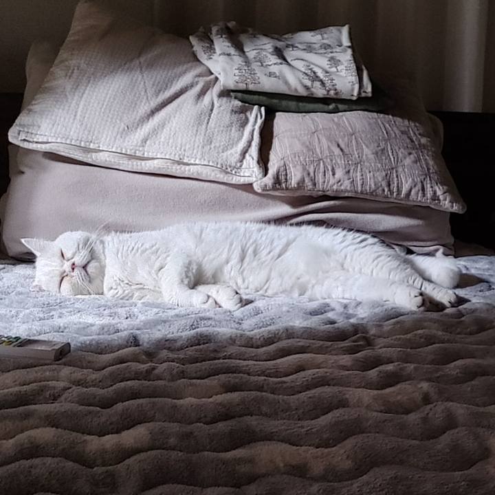 E1852208 8dda 4dd2 9a7b da8c9a55f73c 1636719087057