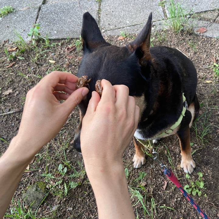 E1853db1 2ebc 48a3 9dbd 8d52c628bc66 1721032266232