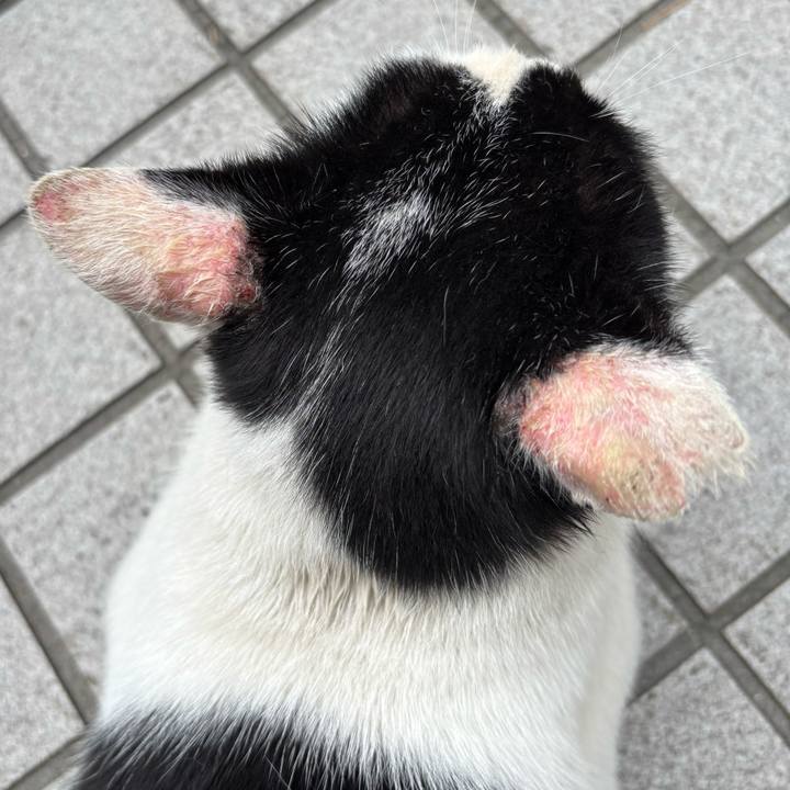 E1853f9a b62f 4848 9468 d8c15c0c7564 1758845156668