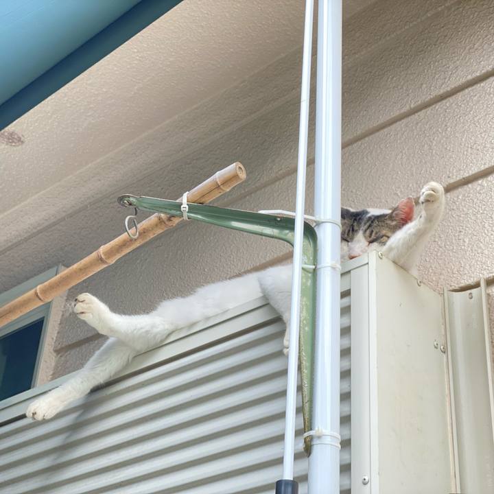 E1854296 1ddb 4910 b9d2 a1137fadbb7e 1624755432032