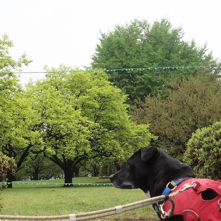 E1856263 4bb6 4fd9 a84b bf73de158d90 1681604624105