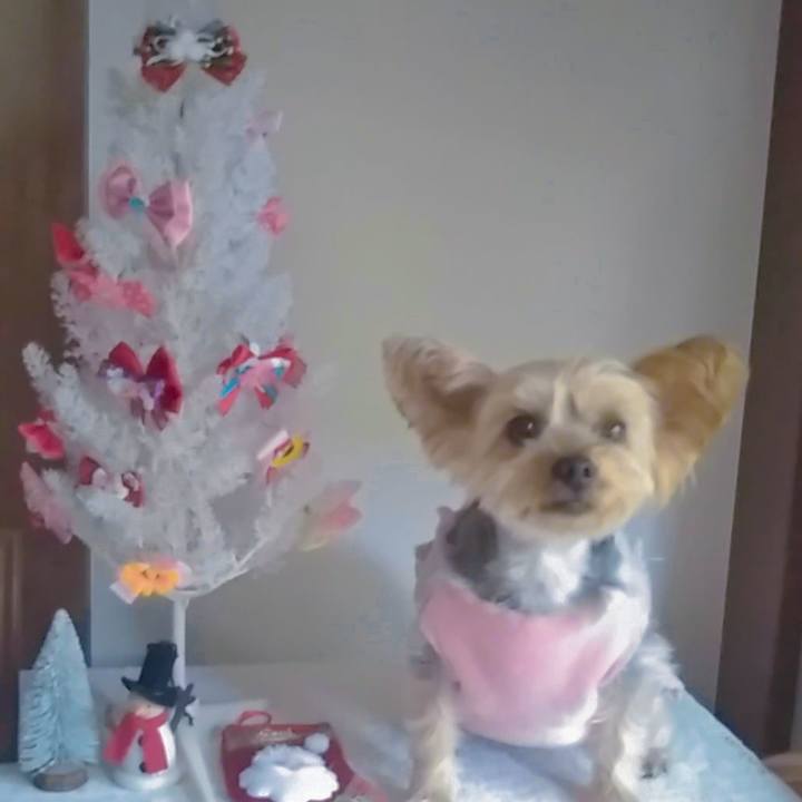 E1856538 56c0 4151 bb22 043500a651f7 1702785018364