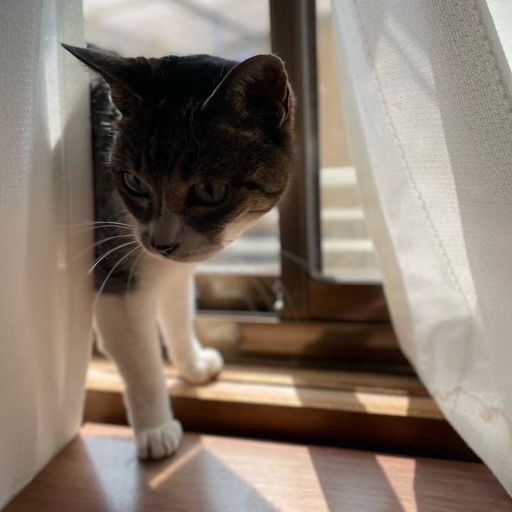 E1857176 c409 4274 b073 dbfae1273e45 1650334036583