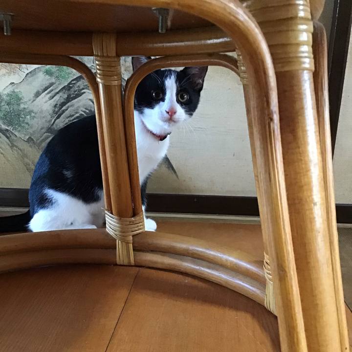 E185bced 8904 47d1 b272 5be625315e7f 1628070669489