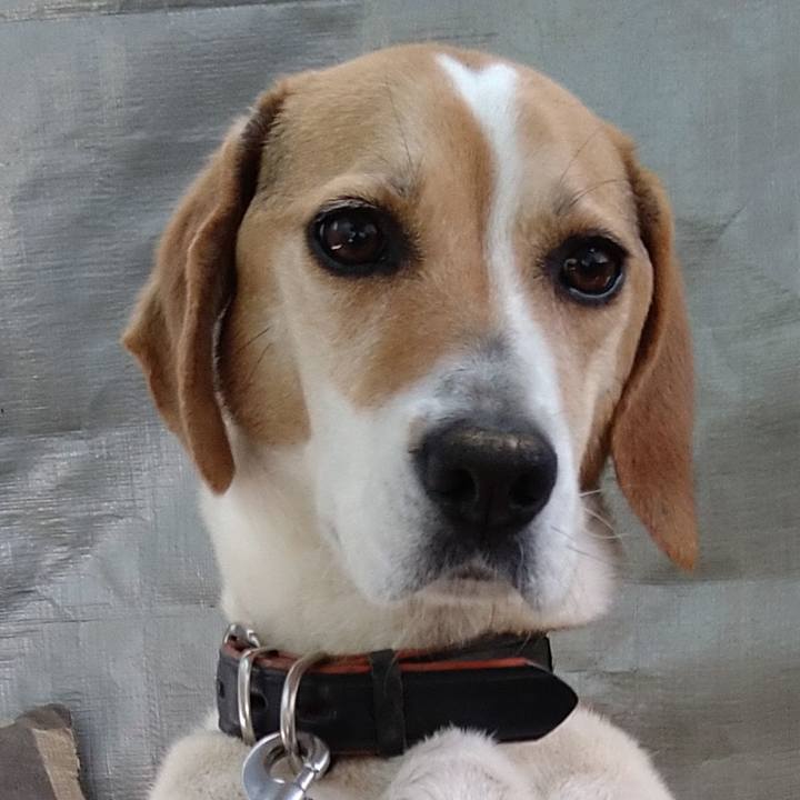 E185ea91 4b97 4203 8b33 d72d98528a87 1653632517651