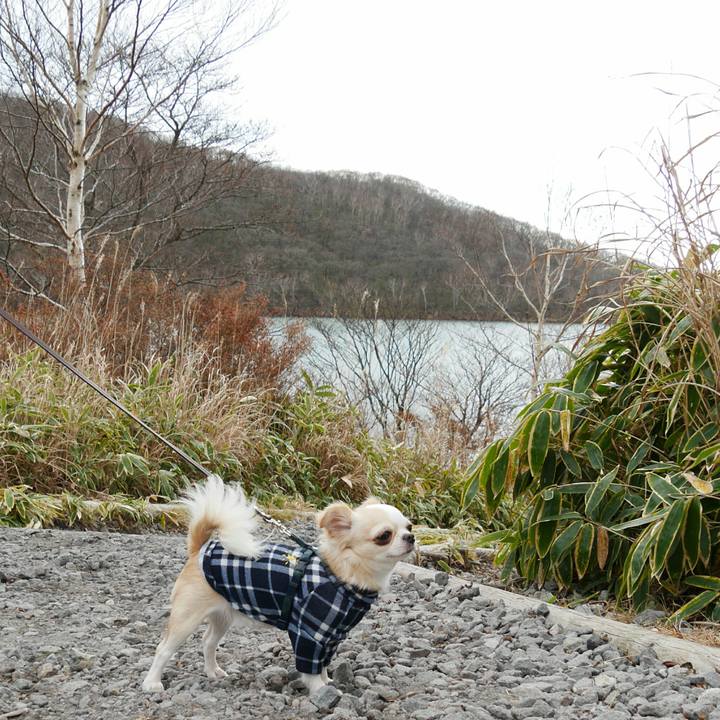 E1861805 ee4c 4a88 84cc e0ed66819076 1510014320073