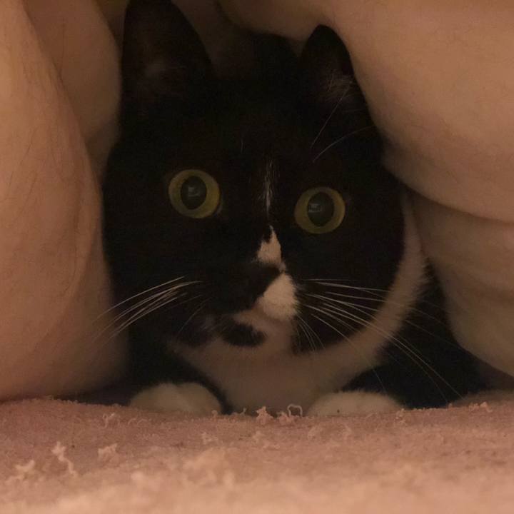 E1864e43 ae91 4916 9334 44843c32e04a 1571467064350