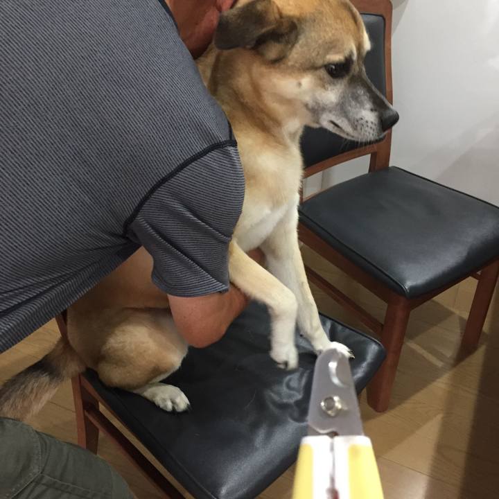 E186ba5c b96d 4aac 8435 7cc25dc5af64 1533599965969