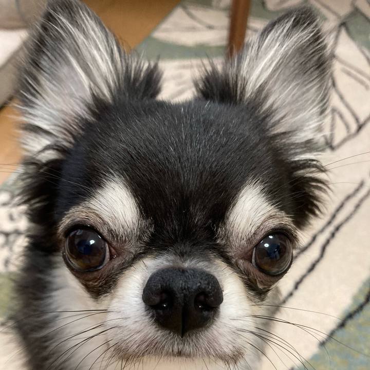 E186e5a0 c679 4521 a600 d5380a2b9a50 1628808770636