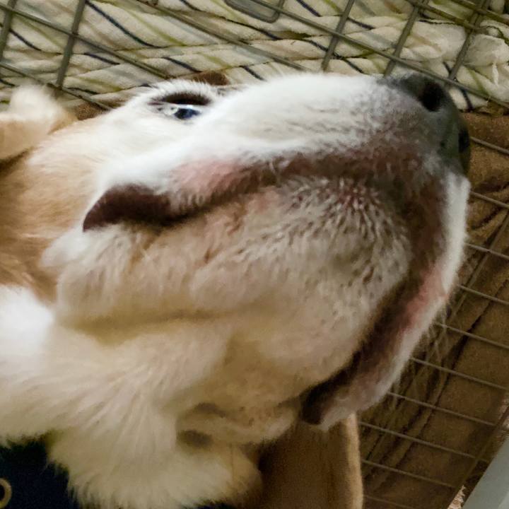 E18719cf 28e1 4753 9f59 d2b3a5a176ed 1584330515161