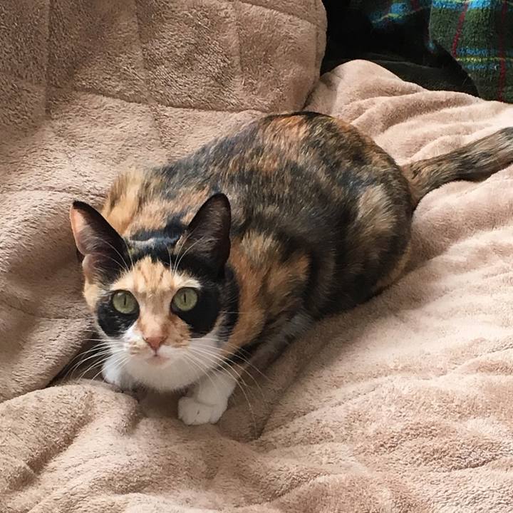 E1873b0c f345 40b1 93ef 6e03ef592765 1515144853424