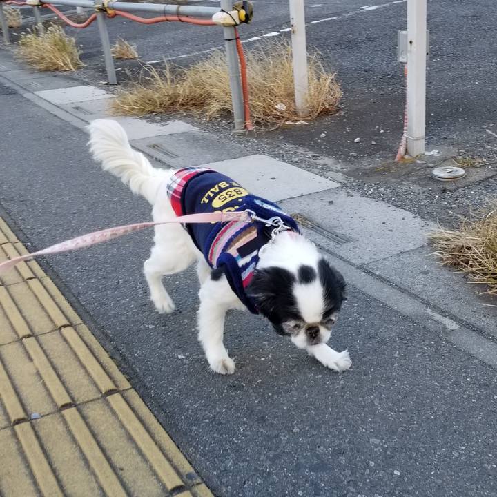 E1875d71 4556 4788 9350 0d84e54404c8 1577777645285