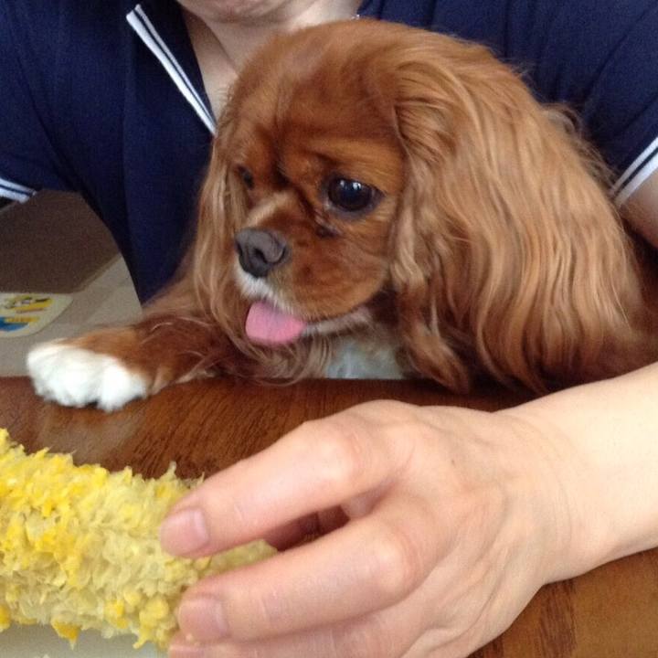 E187818c 6ae7 495a 89a0 3229d5699476 1561415124062