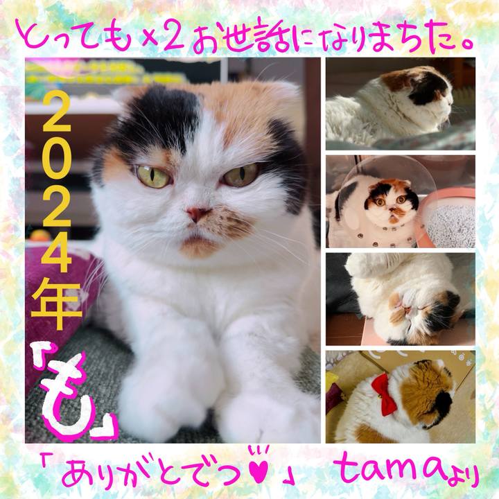 E1878a0b 44d1 4de6 abe3 49b8ced2c717 1735600453199