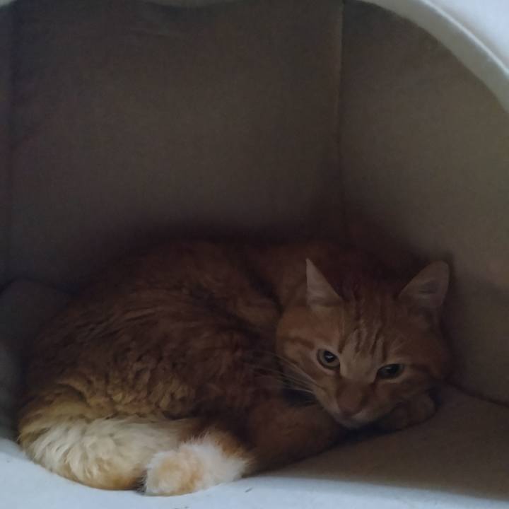 E187b518 b321 4084 951a e973e273cfed 1677242878652