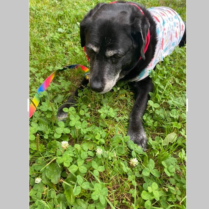 E187e5cc 7f24 425a 936d 8ce5bb6a4090 1687765625286