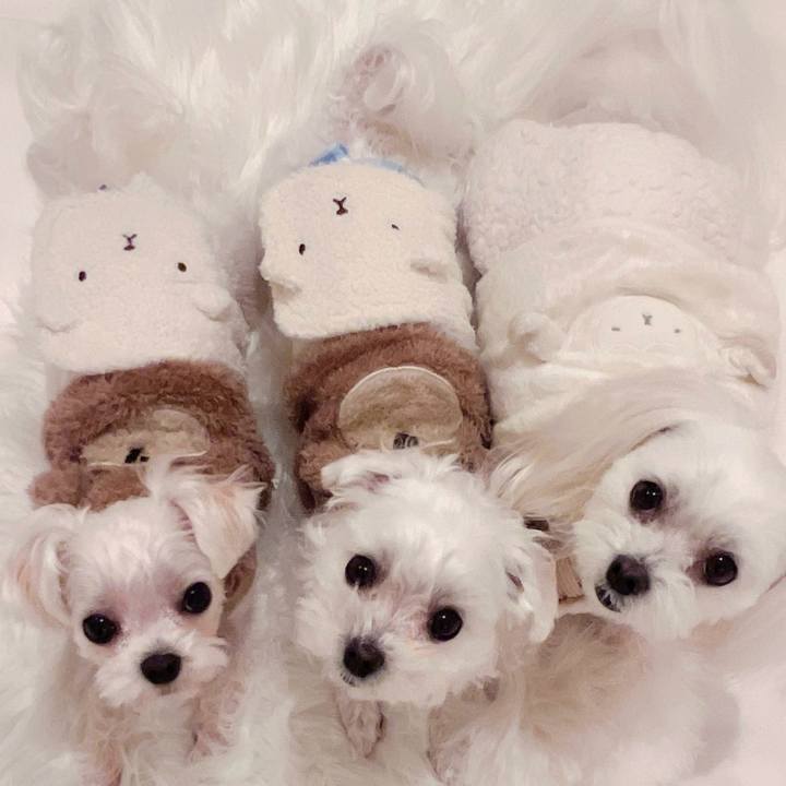 E1884c03 a1b0 4f33 b9a2 96f07ab8c520 1700132150209