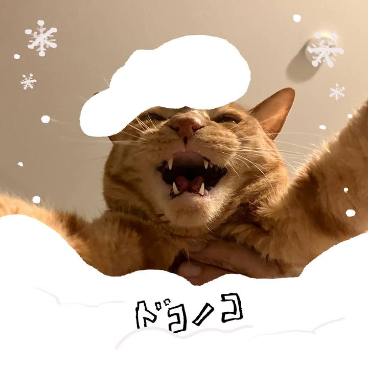 E188694a 9c5b 45cd b54d 62111ba5d741 1771835134202