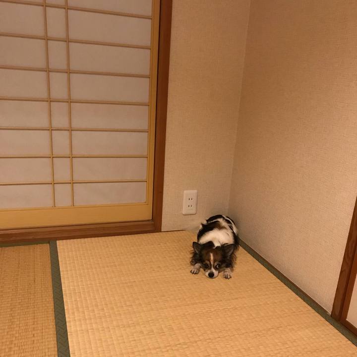 E18888fa e0bb 4fad 802d eb15f4812bd8 1561129754722