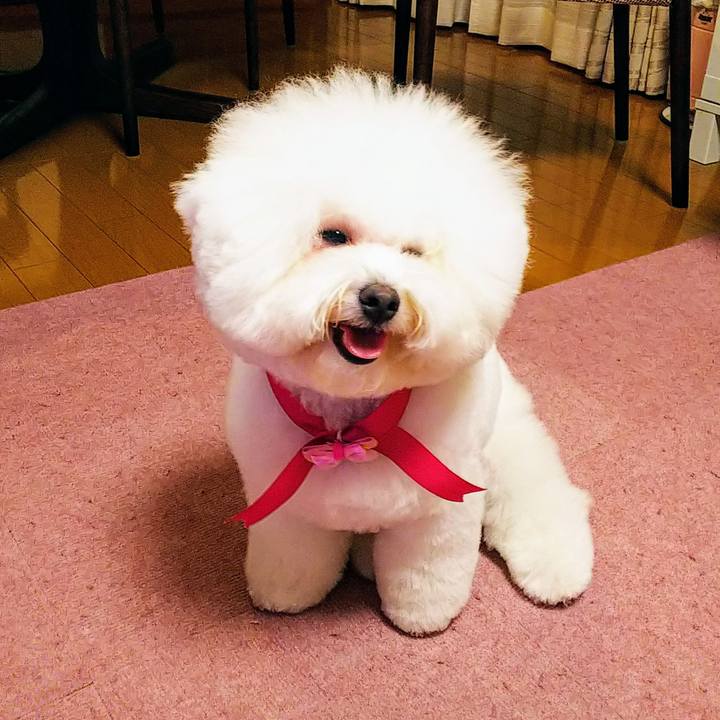 E188ac21 5e2f 4301 9e09 450702f5af7b 1542110102757