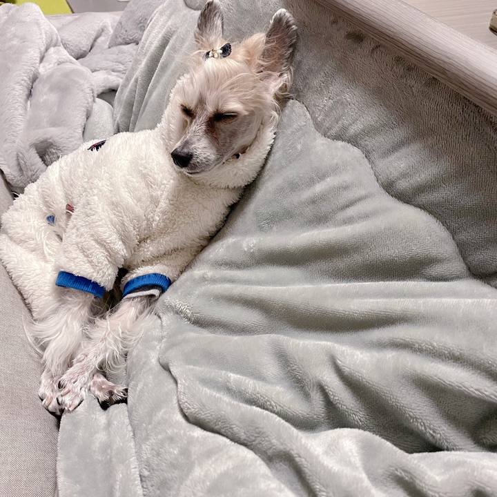 E188b18d d349 4d23 b17e b01ee3d5f53c 1770003766968